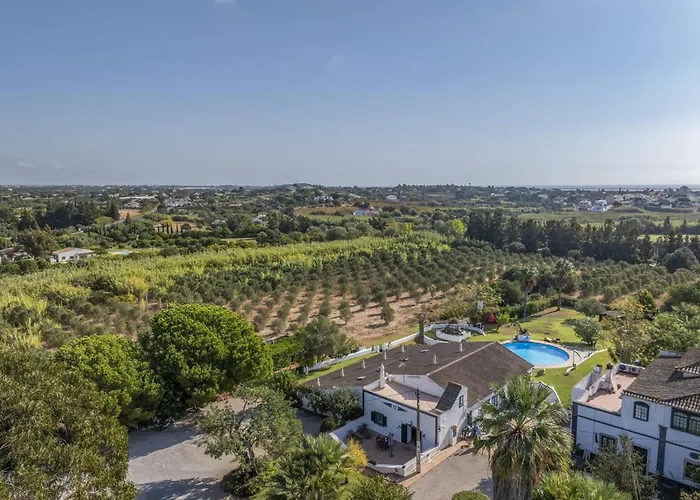 Jardim Do Sul 3 Daire